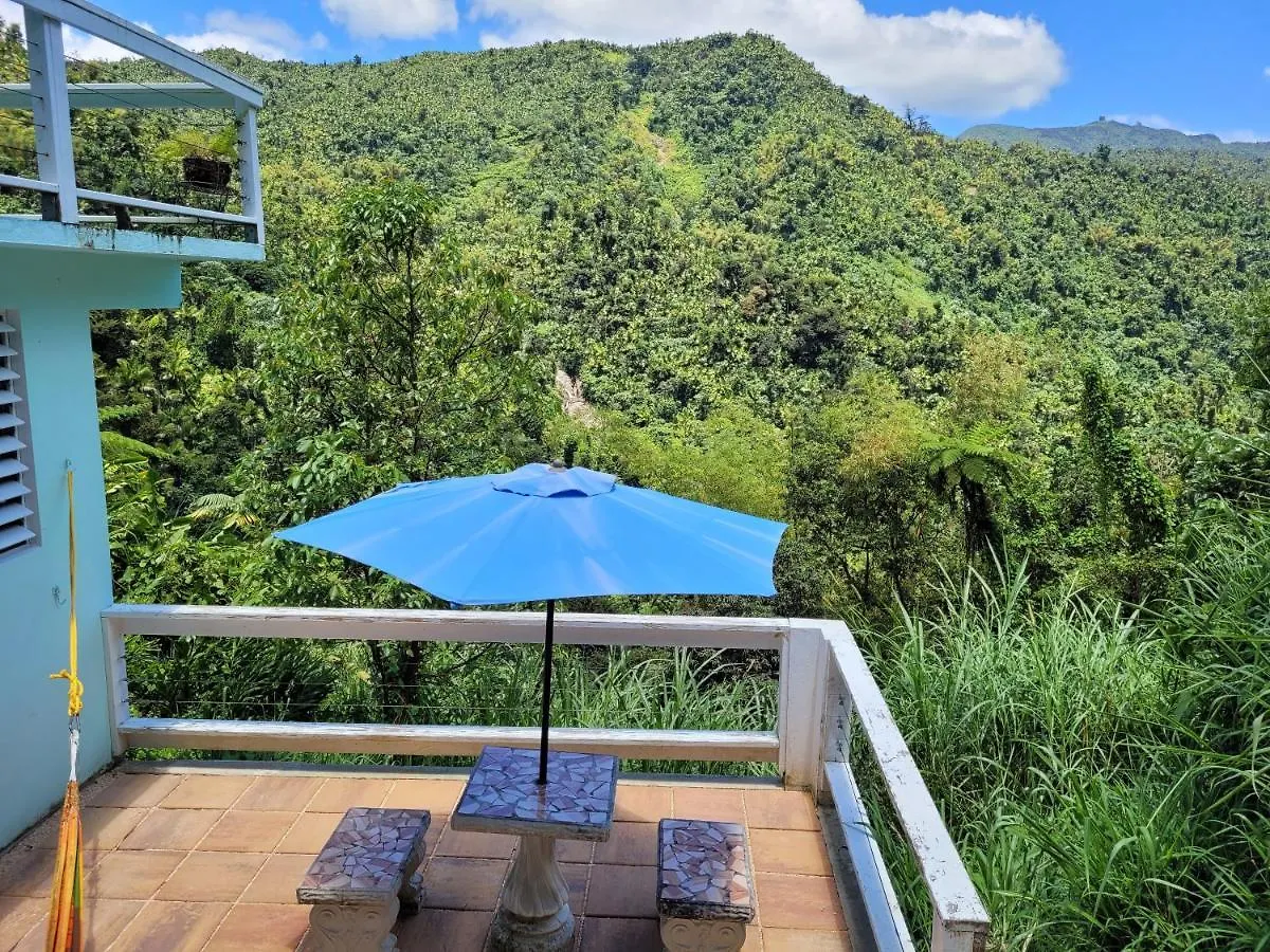 לינה וארוחת בוקר Naguabo Casa Cubuy Ecolodge