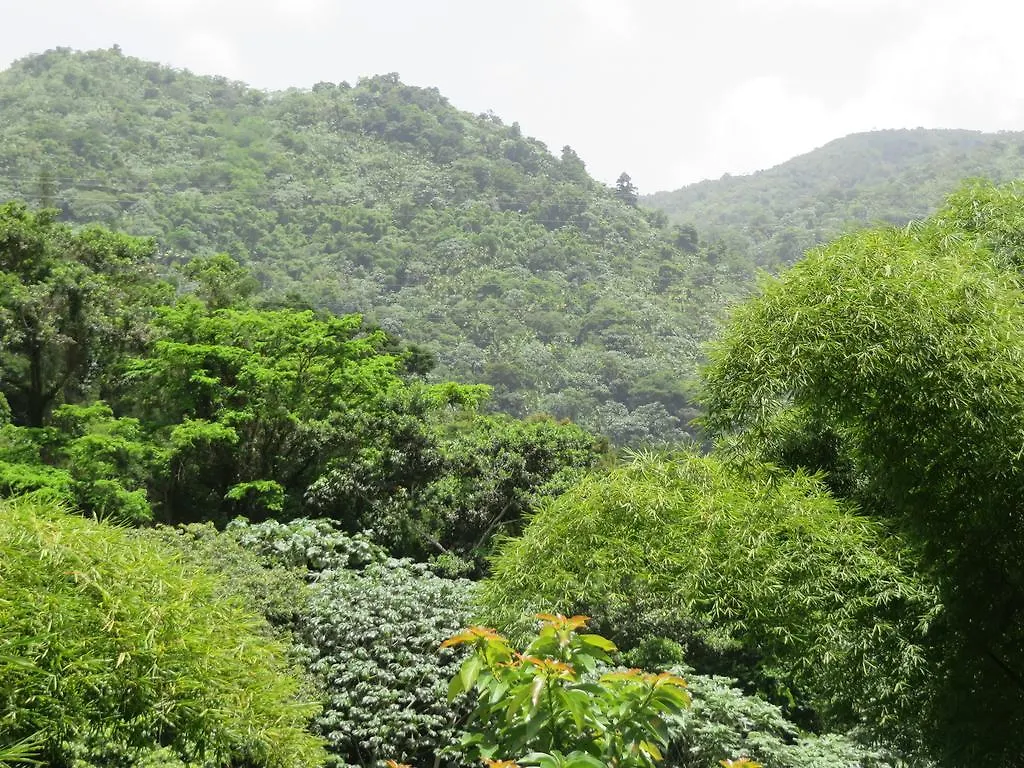 ** לינה וארוחת בוקר Naguabo Casa Cubuy Ecolodge פוארטו ריקו