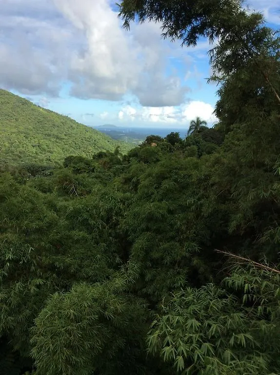 לינה וארוחת בוקר Naguabo Casa Cubuy Ecolodge