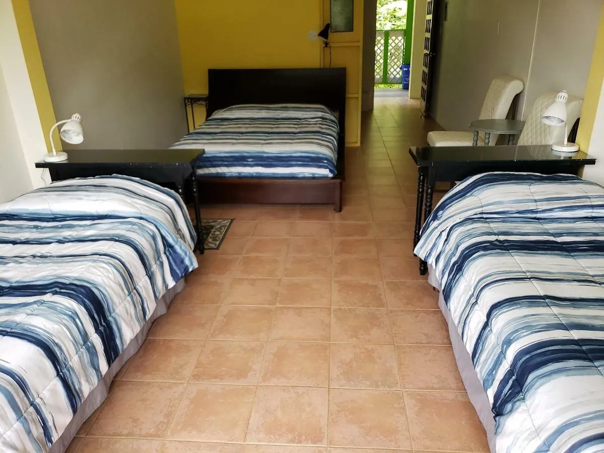 Casa Cubuy Ecolodge Naguabo Bed & Breakfast