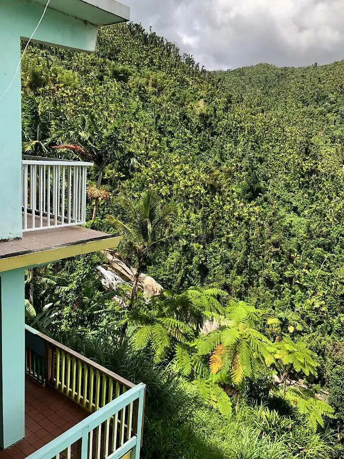 Casa Cubuy Ecolodge Naguabo Bed & Breakfast